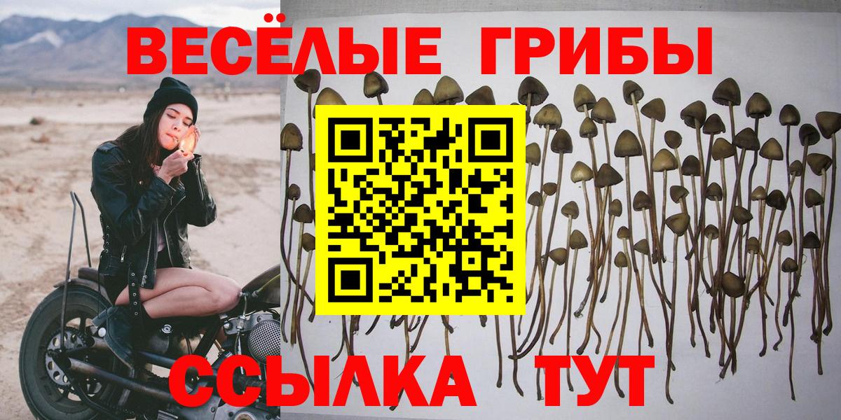 Псилоцибиновые грибы MAGIC MUSHROOMS Белогорск