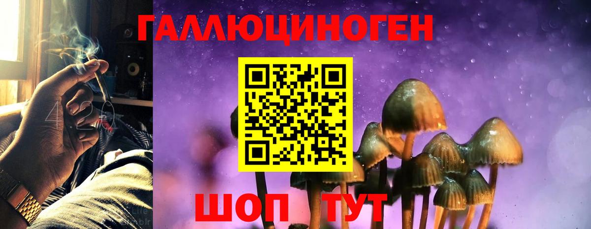Псилоцибиновые грибы прущие грибы  Псилоцибиновые грибы Psilocybe  Вход с VPN  цены наркотик  Белогорск 
